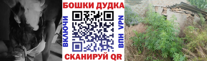Бошки Шишки Amnesia Купить Нягань